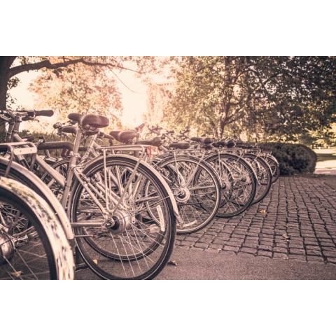 bikes